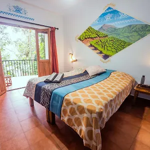 Hotel Chrissie's Thekkady